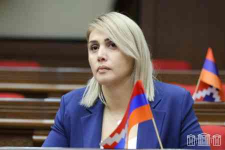Депутат НС ставит вопрос об адекватности властей Армении