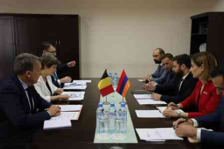 В Ереване прошли армяно-бельгийские межмидовские консультации