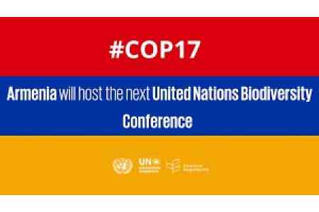Specialized services for organizing and holding COP17 in Yerevan,  Armenia to be acquired through single- party procurement