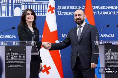 Armenian FM starts official visit to Georgia
