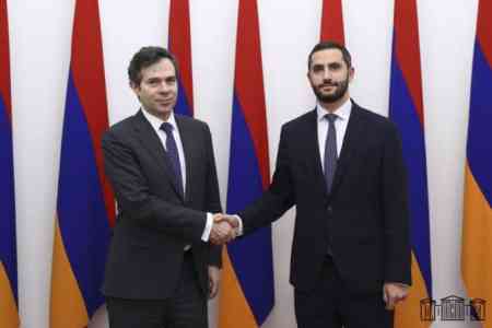 Հայաստանի ԱԺ փոխնախագահը մի շարք հանդիպումներ է անցկացրել