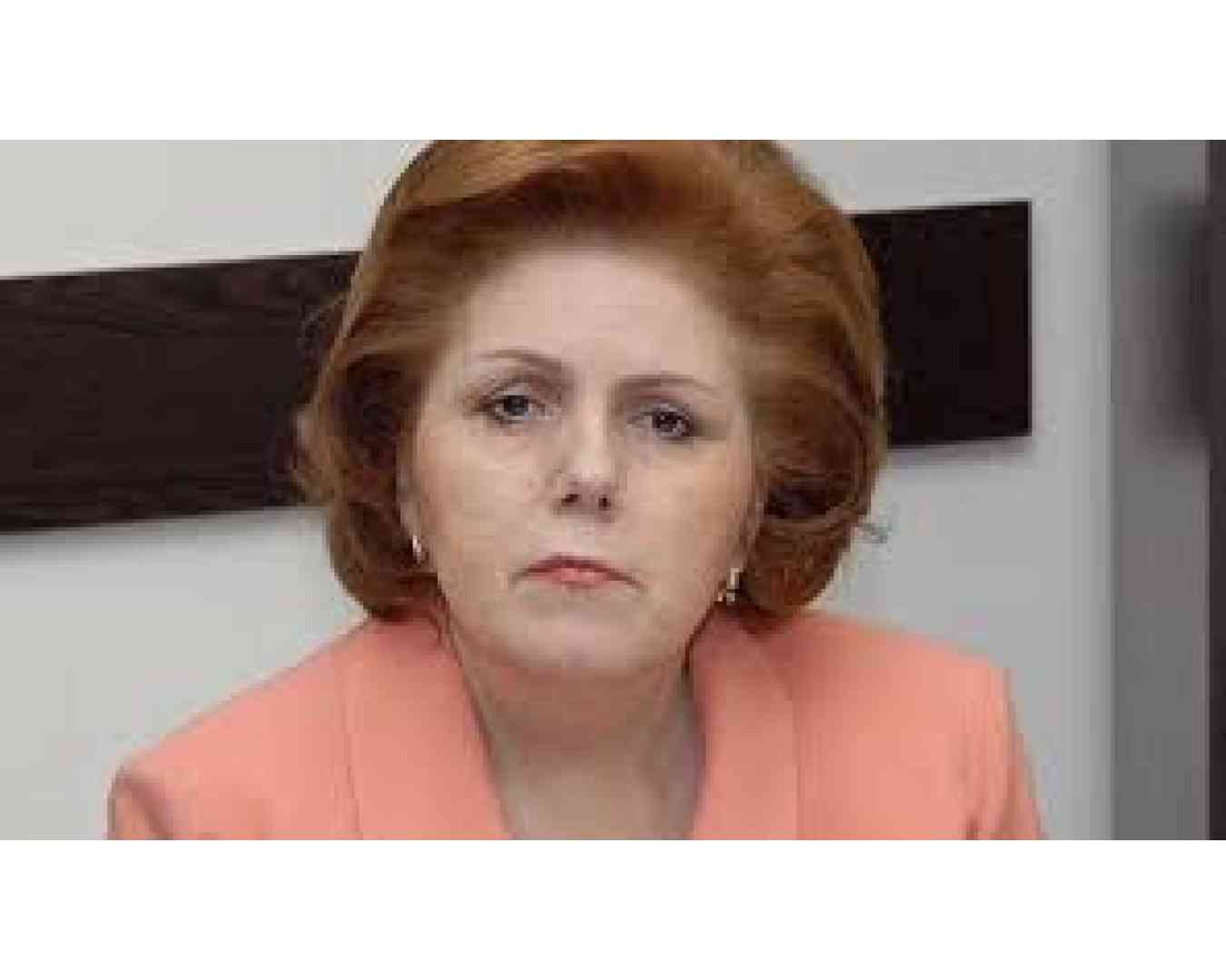 Հայաստանի մշակույթի նախկին նախարարի նկատմամբ կիրառվել է համաներում