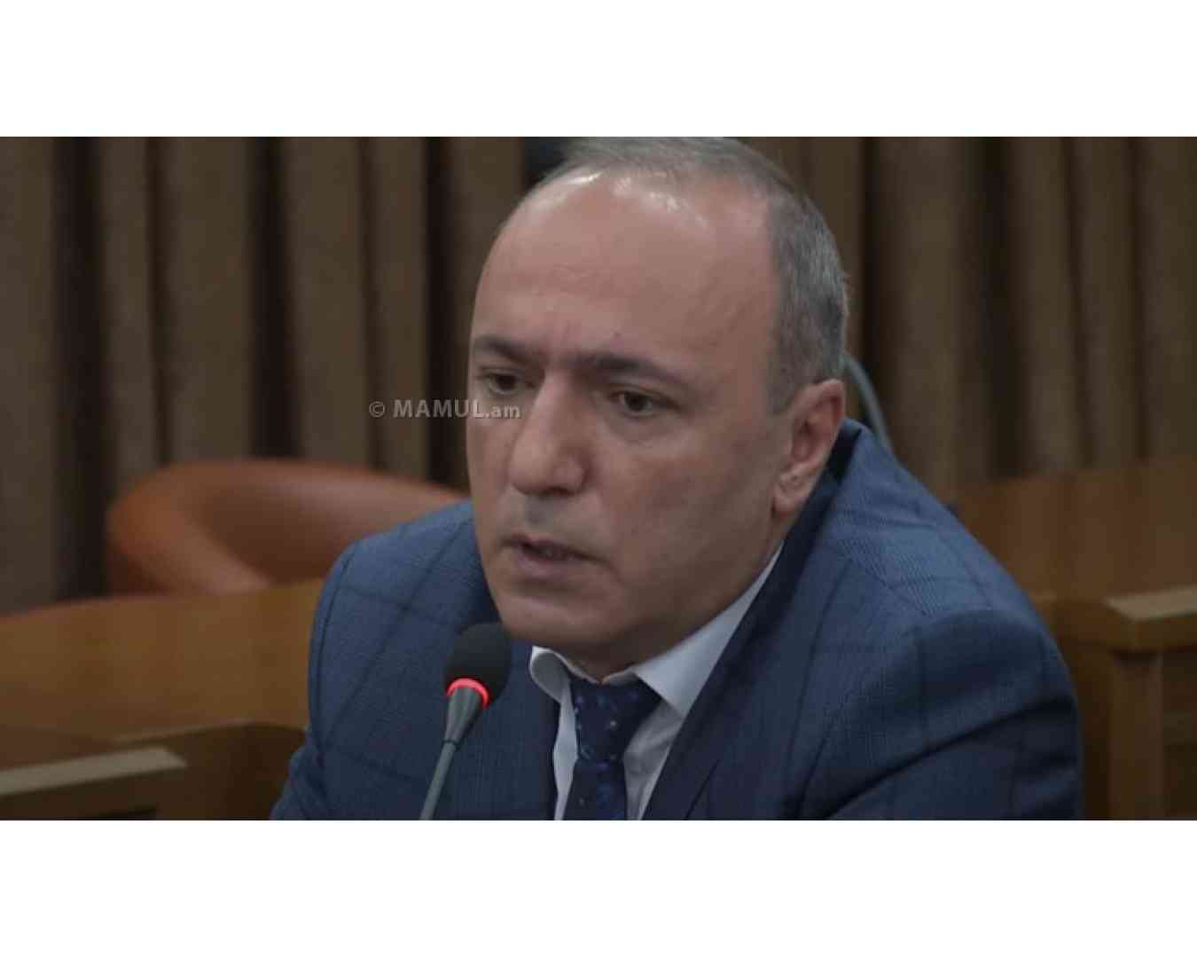 В мэрии считают, что площадь зелёных зон Еревана сегодня сопоставима с советским периодом