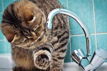 Discussions underway with Veolia Jur regarding changing water supply  schedule for period from May 1 to September 15