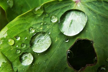 Weather forecasters" No "acid-toxic rain" in Armenia