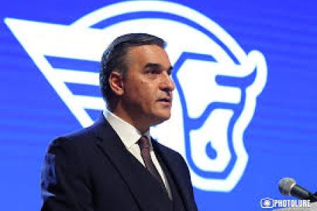 Татоян представил 6 шагов программы его политической силы по обеспечению безопасности страны