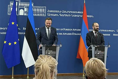 Цахкна: У Эстонии огромный опыт борьбы с гибридными угрозами, с которыми она готова поделиться с Арменией