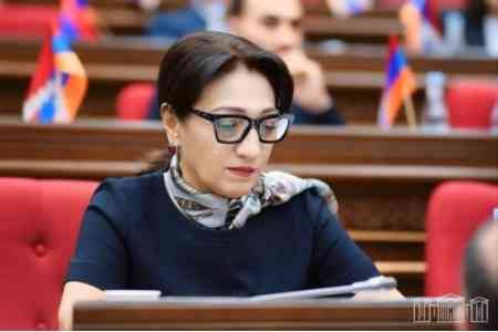 Оппозиционный депутат НС на пленарном заседании парламента подняла вопрос об арестованном 18-летнем школьнике
