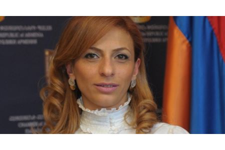 Адвокат сигнализирует о бездействии правоохранителей в вопросе растления несовершенолетних в Веди