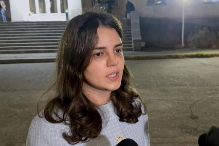 Адвокат: Правительство Армении представляет международным организациям искаженную картину разгона протестующих у парламента 12 июня 2024 года