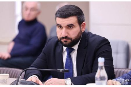 Вице-спикер НС: Ереван высоко ценит приверженность и опыт Швейцарии в области парламентского управления