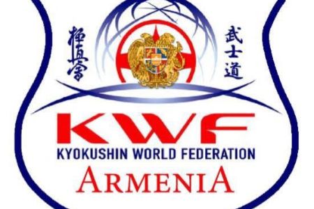 Армянская команда по киокушин карате завоевала 16 медалей в Анапе