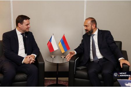 Главы МИД Армении и Чехии провели обсуждения