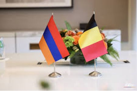 Possibilities of expanding and developing economic cooperation between Armenia and Belgium were discussed in Yerevan