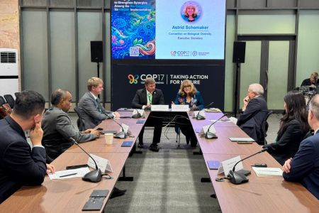 The impact of AI on biodiversity was discussed in Yerevan at COP17