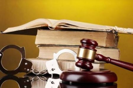 The United States will support Armenia in developing law enforcement capacity