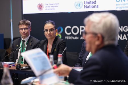 Особо охраняемые природные территории, включая зеленые зоны, не могут быть частной собственностью - генпрокурор